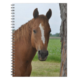 Horse Notebook