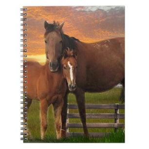 Horse Notebook
