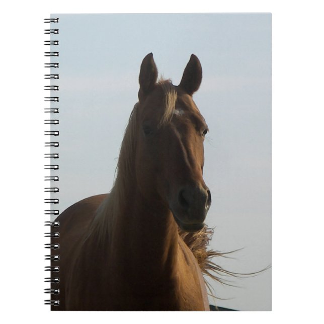 Horse notebook (Front)