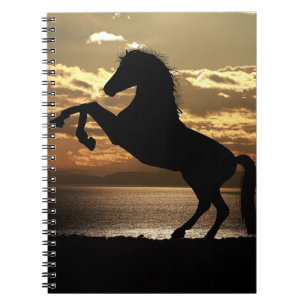 horse notebook