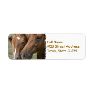 Horse Nuzzle Mailing Label