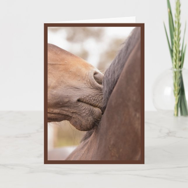 Horse Nuzzle Valentine Holiday Card (Front)