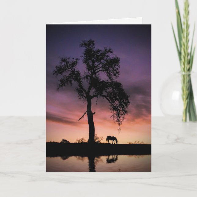 Horse Oak Tree Nature Water Thinking of You Card (Front)