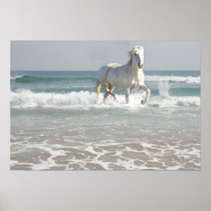 Horse Ocean Beauty Print