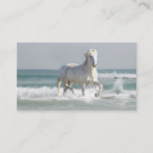 Horse Ocean Business Card