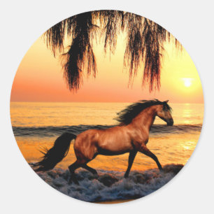 Horse on beach at sunset classic round sticker