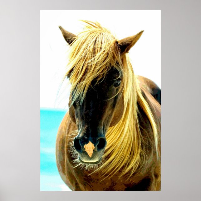 Horse on Beach Poster (Front)
