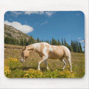 Horse on Grasses in an Alpine Meadow in Summer Mouse Mat