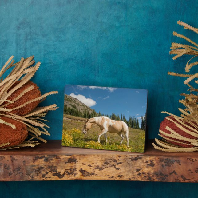 Horse on Grasses in an Alpine Meadow in Summer Plaque (Side)