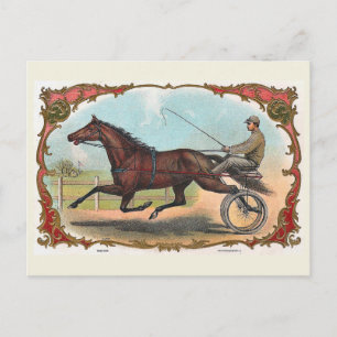 Horse On Wheels Vintage Horse Racing Postcard