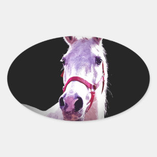 Horse Oval Sticker