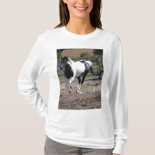 Horse/Paint Pinto T-Shirt