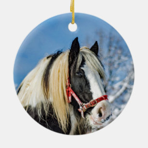 Horse Paint Snow Photo Ceramic Tree Decoration