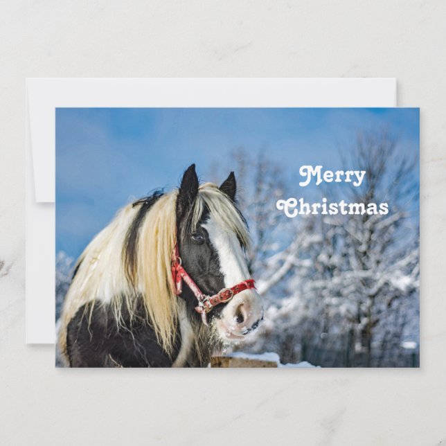 Horse Paint Snow Photo Christmas Flat Holiday Card (Front)