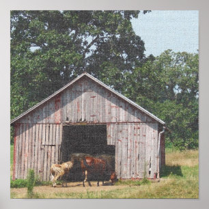 Horse Pasture 3 Poster