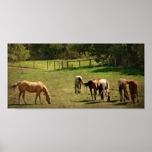 Horse Pasture Poster (Front)
