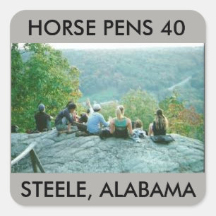 HORSE PENS 40 STICKER