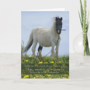 Horse Pet Sympathy Card - Equine Sympathy - Pit Po