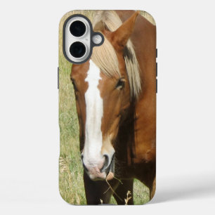 Horse Phone Case