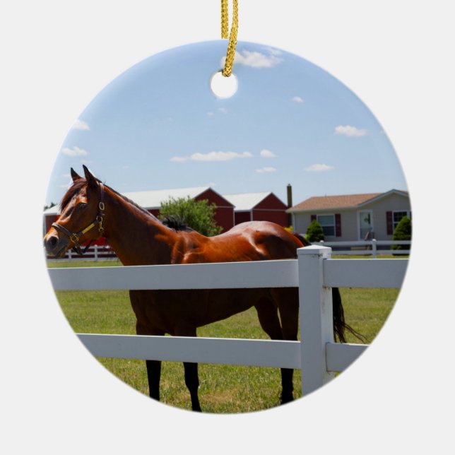 Horse Photo Ceramic Tree Decoration (Front)