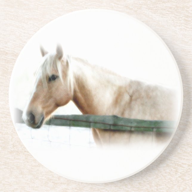 Horse Photo Coaster (Front)