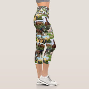Horse Photo Collage, Capri Leggings