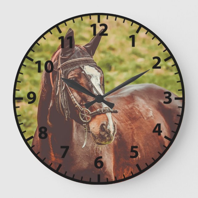Horse Photo Customizeable Horses Clock (Front)