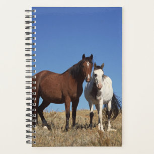 Horse Photo Equine Buddies Planner