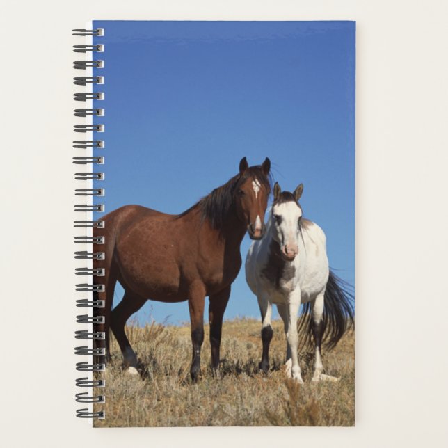 Horse Photo Equine Buddies Planner (Front)