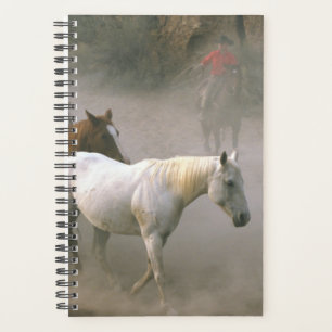 Horse Photo Equine Cowboy Herding Planner