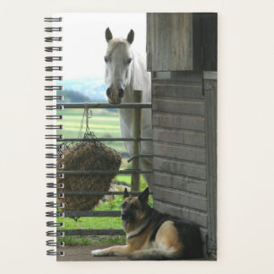 Horse Photo Equine Horse Dog Planner
