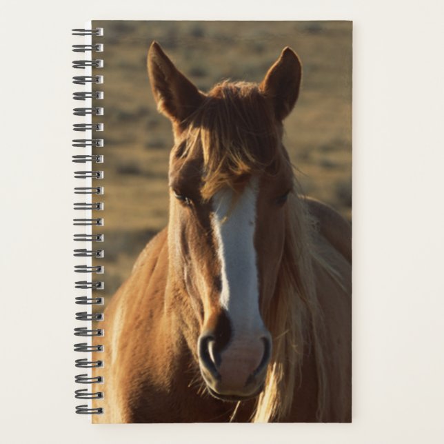 Horse Photo Equine Horse Western Background Planner (Front)