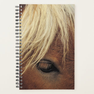 Horse Photo Equine Horse White Mane Planner