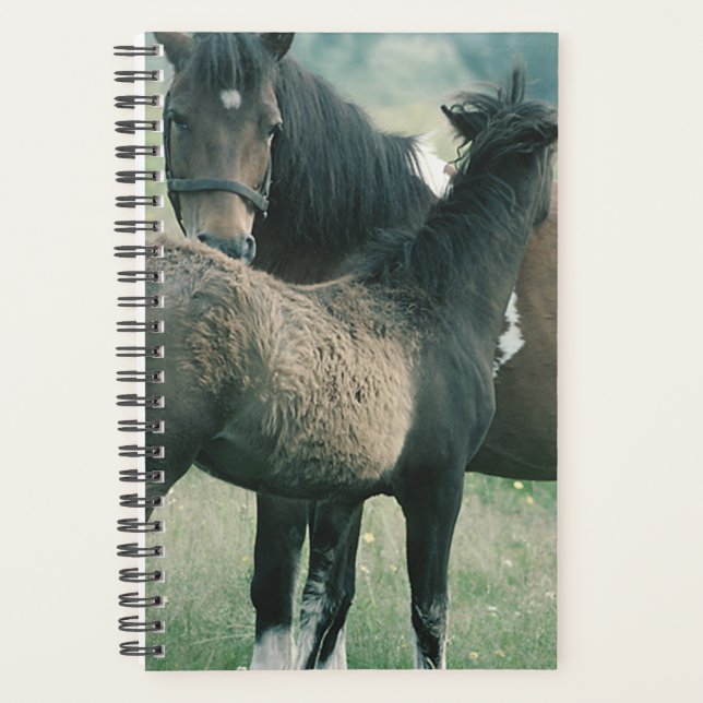 Horse Photo Equine Mare Foal Planner (Front)