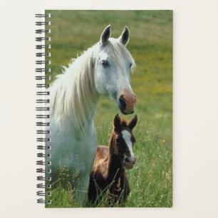Horse Photo Equine Mare Foal Tall Grass Planner