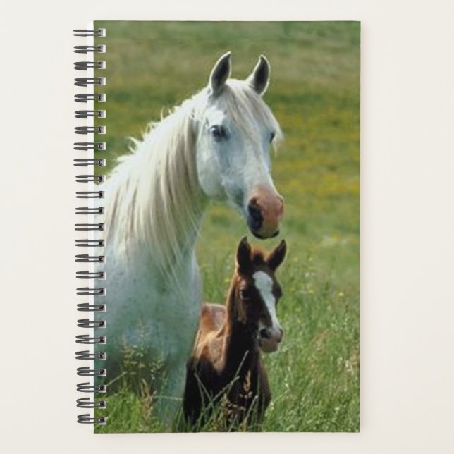 Horse Photo Equine Mare Foal Tall Grass Planner (Front)