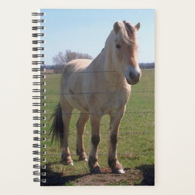 Horse Photo Equine Norwegian Fjord Planner (Front)