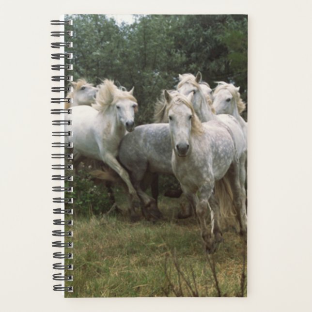 Horse Photo Equine Running Grey Horse Herd Planner (Front)