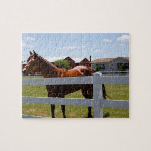 Horse Photo Jigsaw Puzzle