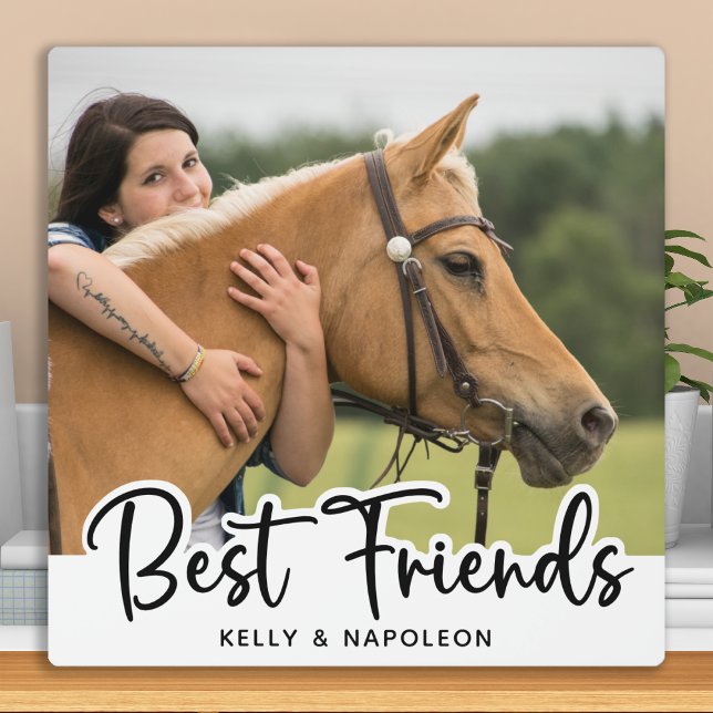 Horse Photo White Best Friends Plaque (Creator Uploaded)