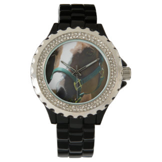 Horse Photograph On Womens Watch