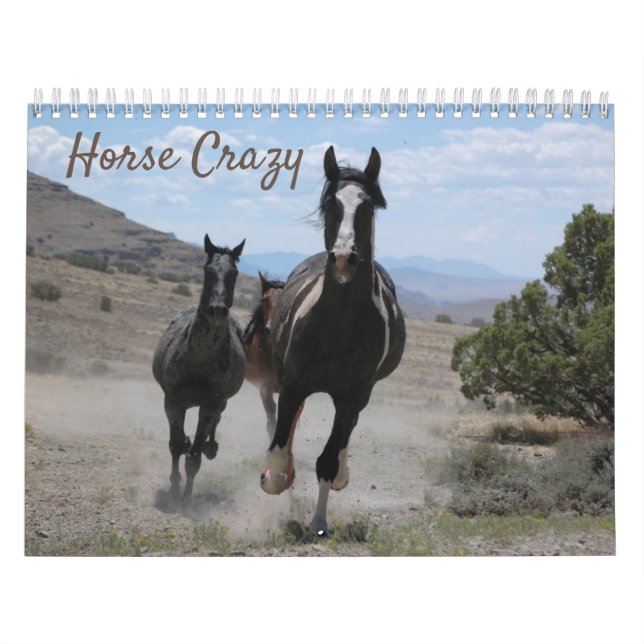 Horse Photographs for Horse Lovers Calendar (Cover)