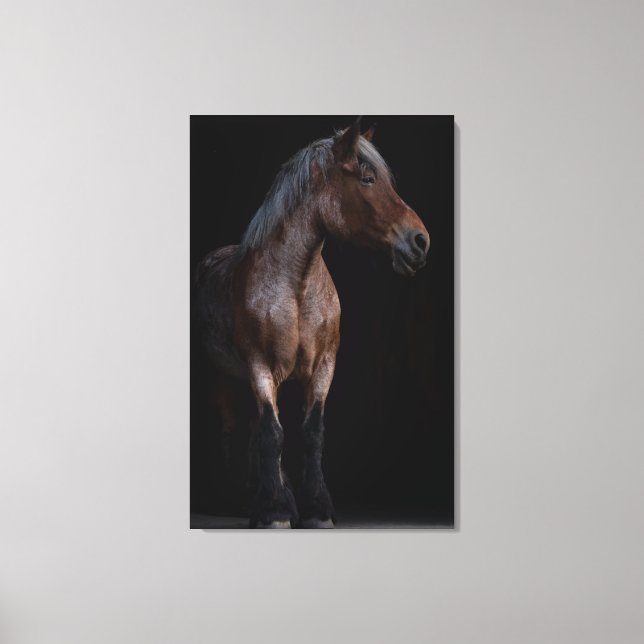 Horse Photography Canvas Print (Front)