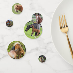 Horse Photos table confetti
