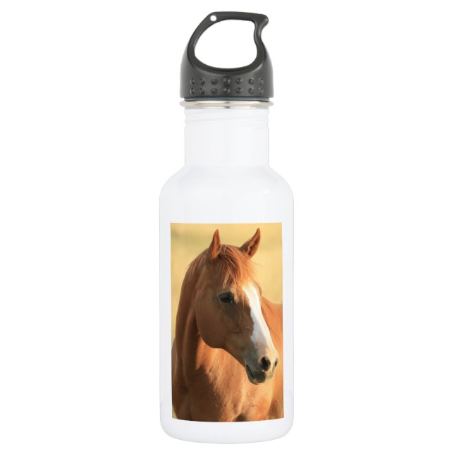 Horse picture 532 ml water bottle (Front)