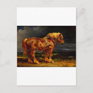 horse-pictures-11 postcard