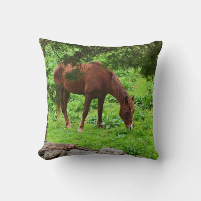 Horse Pillow (Front)