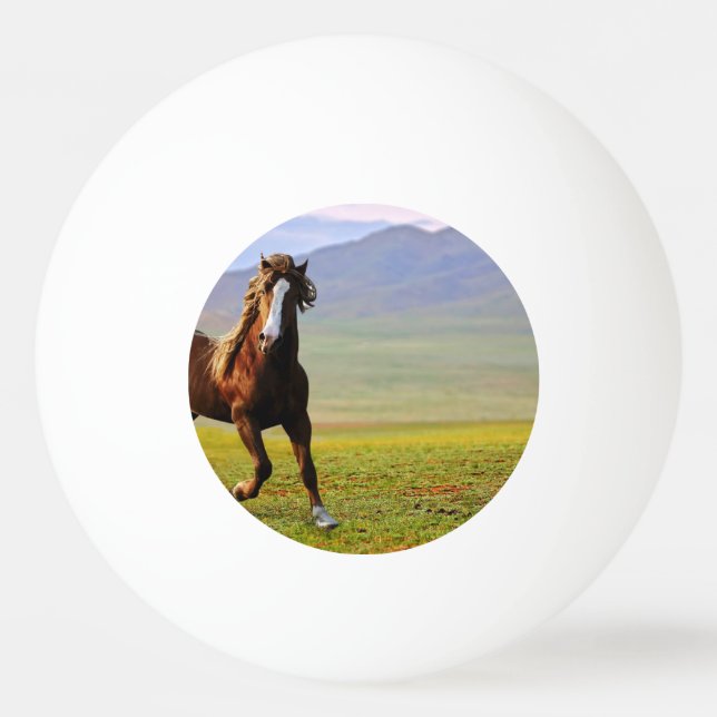 Horse Ping Pong Ball (Front)