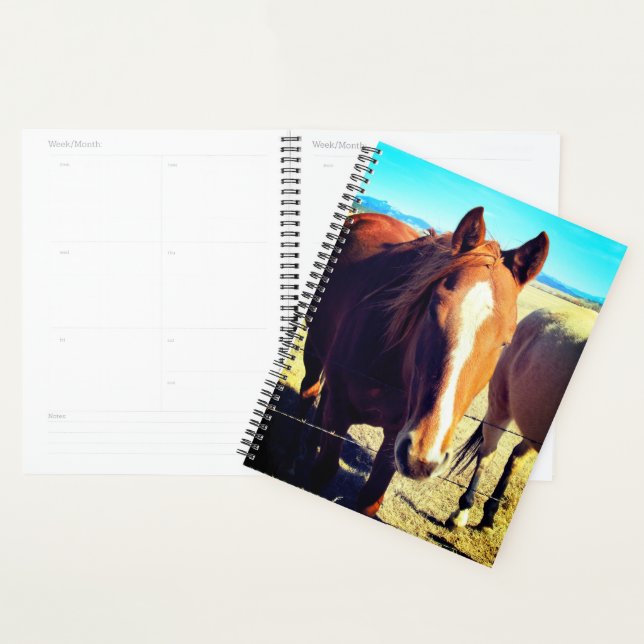 Horse Planner (Display)