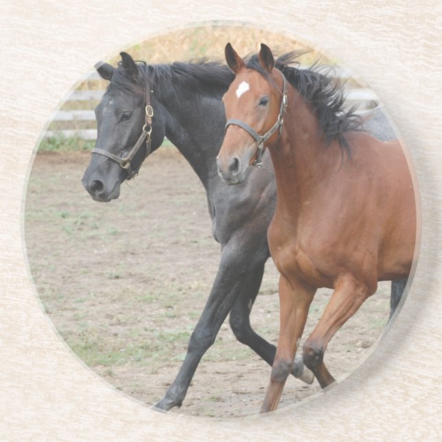 Horse Play Coaster (Front)